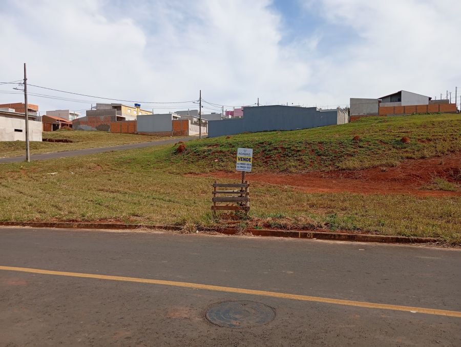 Terreno - Venda - Jardim Monte Sinai Ll - Telmaco Borba - PR